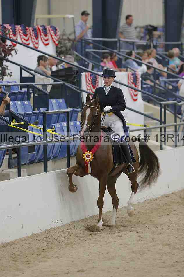 Proof 13r14_3384