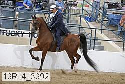 13r14_3392 proof