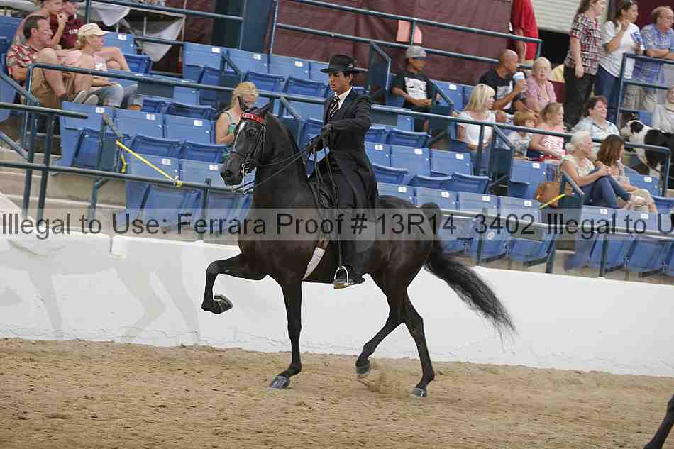 Proof 13r14_3402