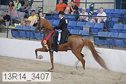 13r14_3407 proof
