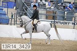 13r14_3429 proof