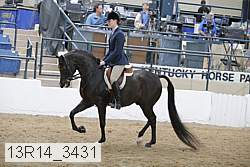 13r14_3431 proof