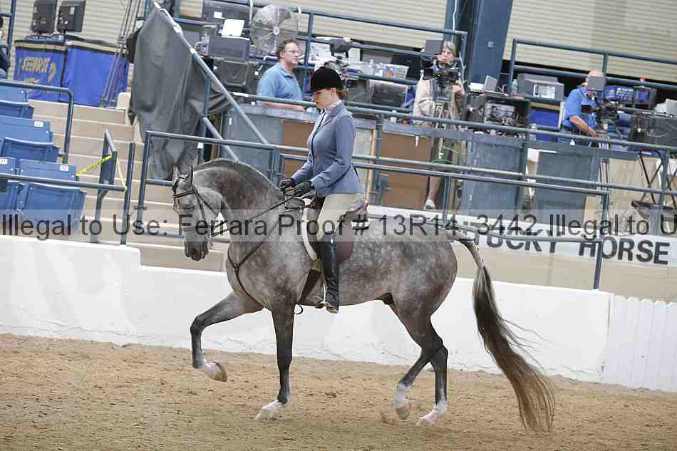 Proof 13r14_3442