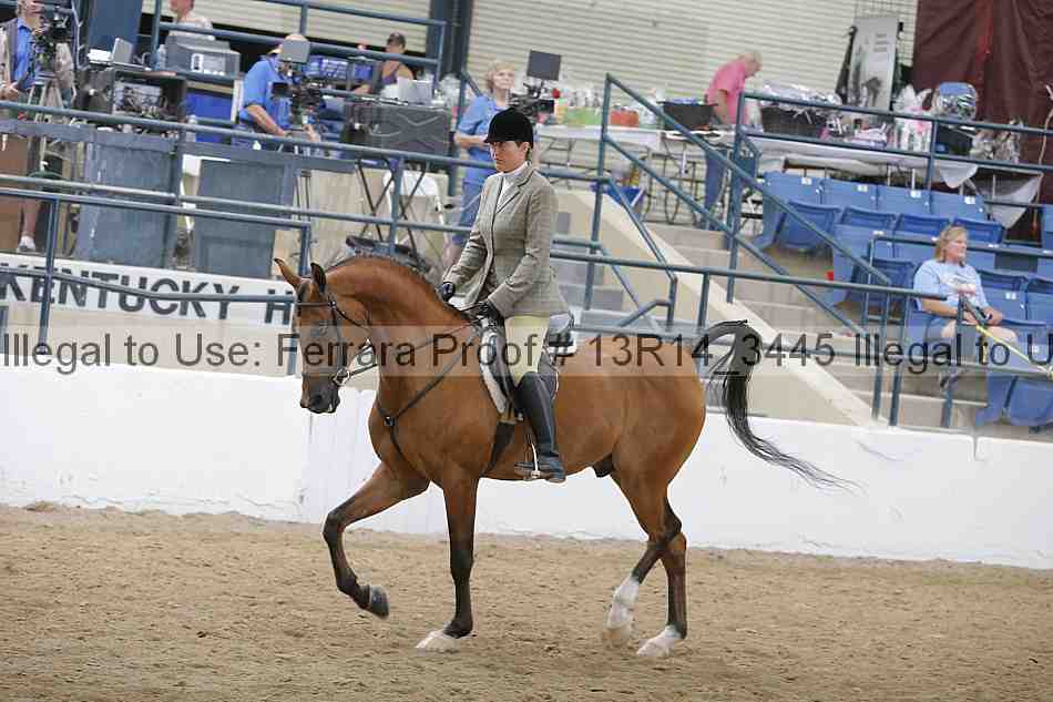 Proof 13r14_3445