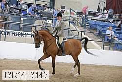 13r14_3445 proof
