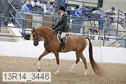 13r14_3446 proof