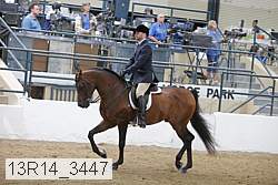 13r14_3447 proof