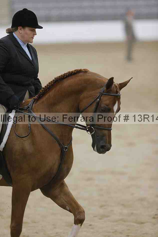 Proof 13r14_3448