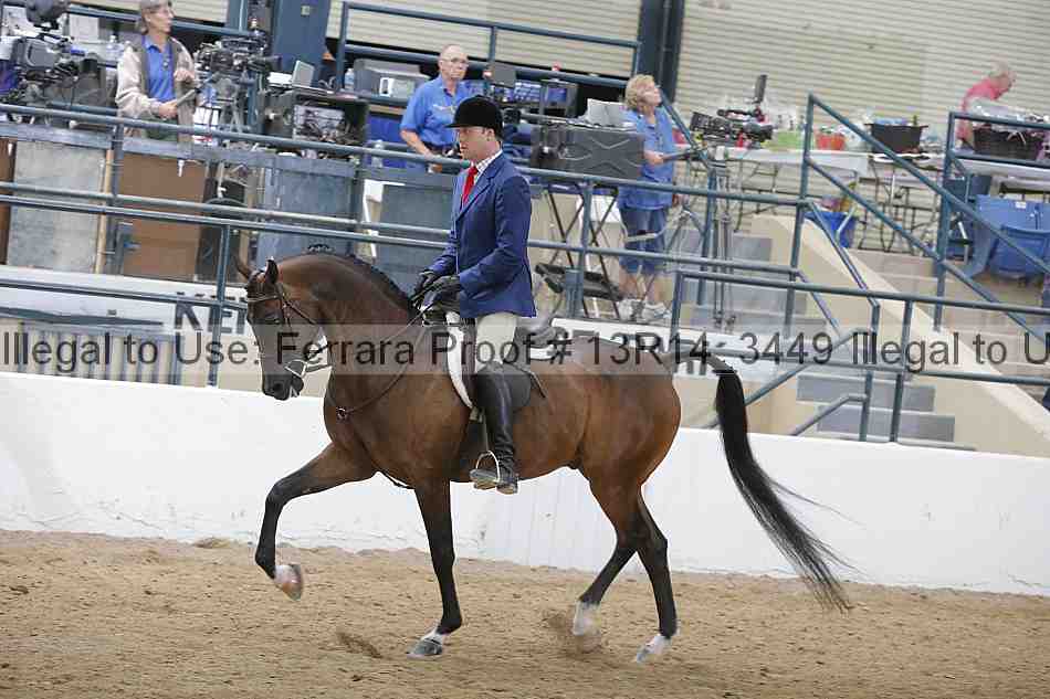 Proof 13r14_3449