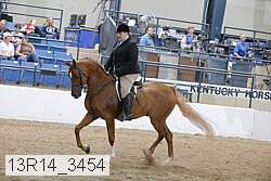 13r14_3454 proof