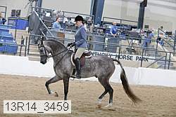 13r14_3459 proof