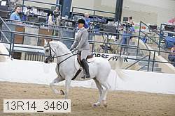 13r14_3460 proof