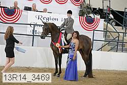 13r14_3469 proof