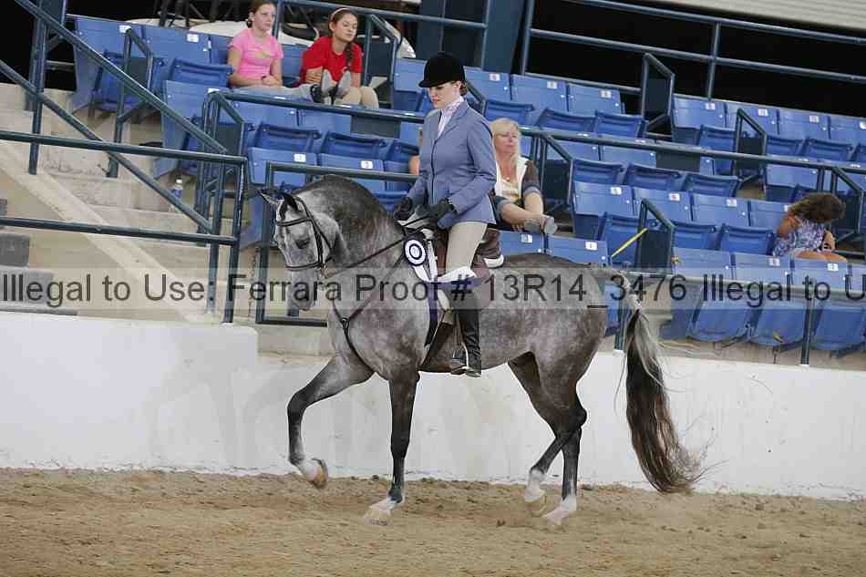 Proof 13r14_3476