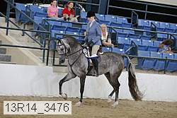 13r14_3476 proof