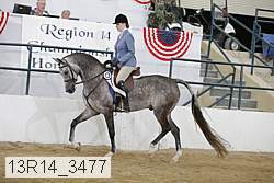 13r14_3477 proof
