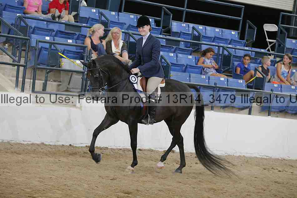 Proof 13r14_3479