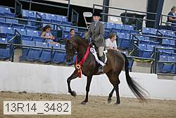 13r14_3482 proof