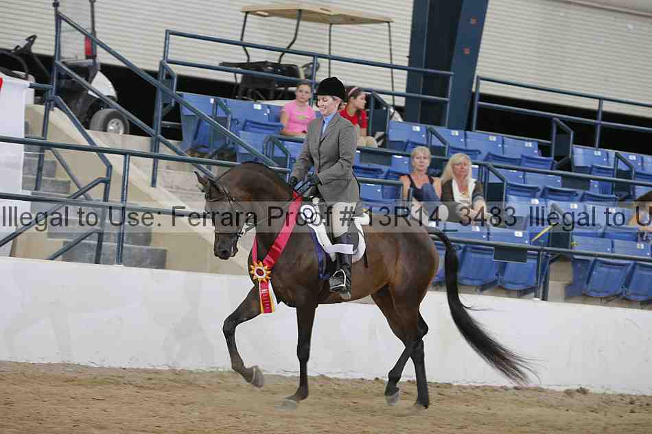 Proof 13r14_3483