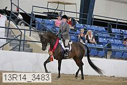 13r14_3483 proof
