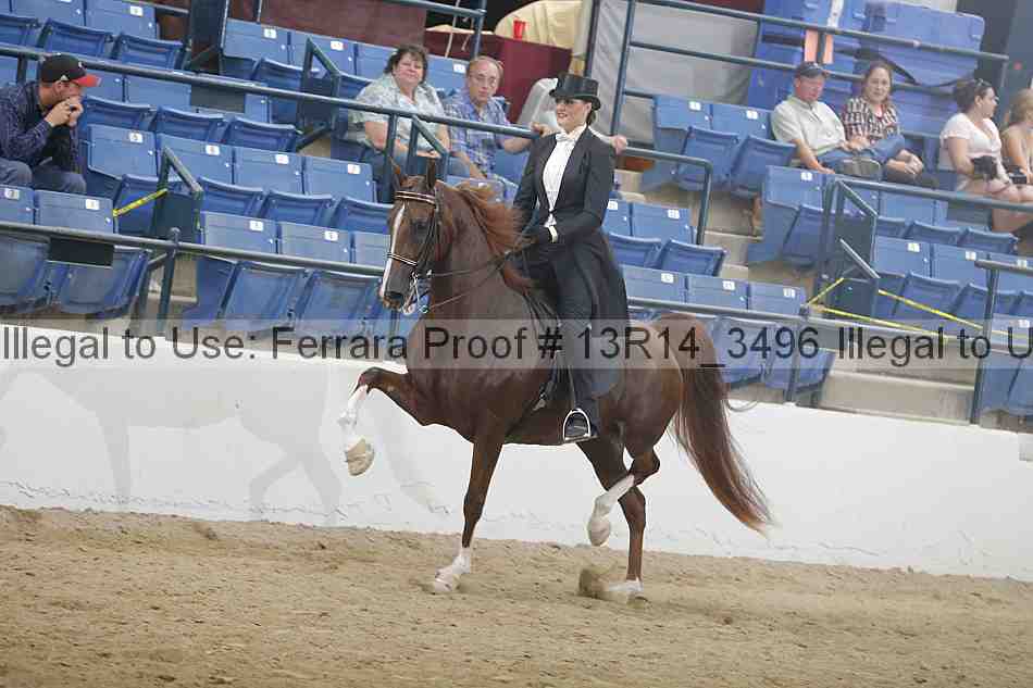 Proof 13r14_3496