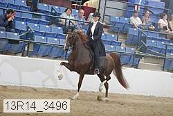 13r14_3496 proof