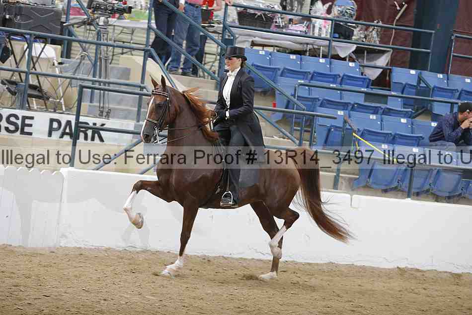 Proof 13r14_3497
