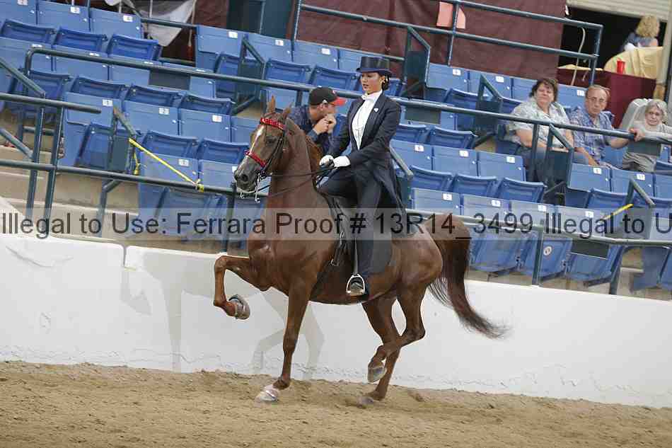 Proof 13r14_3499
