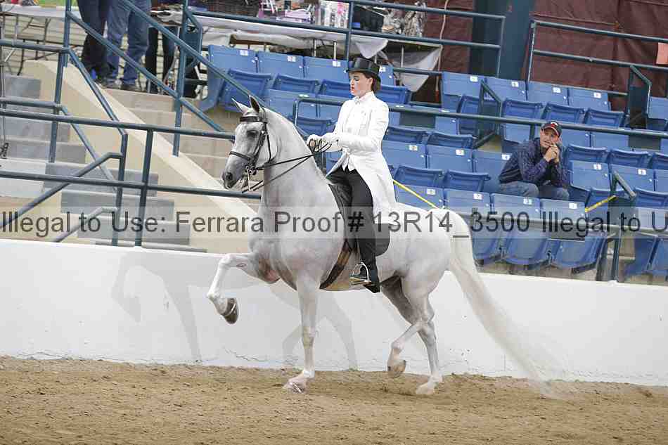 Proof 13r14_3500