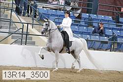 13r14_3500 proof