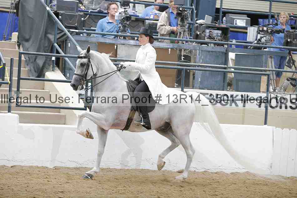 Proof 13r14_3501