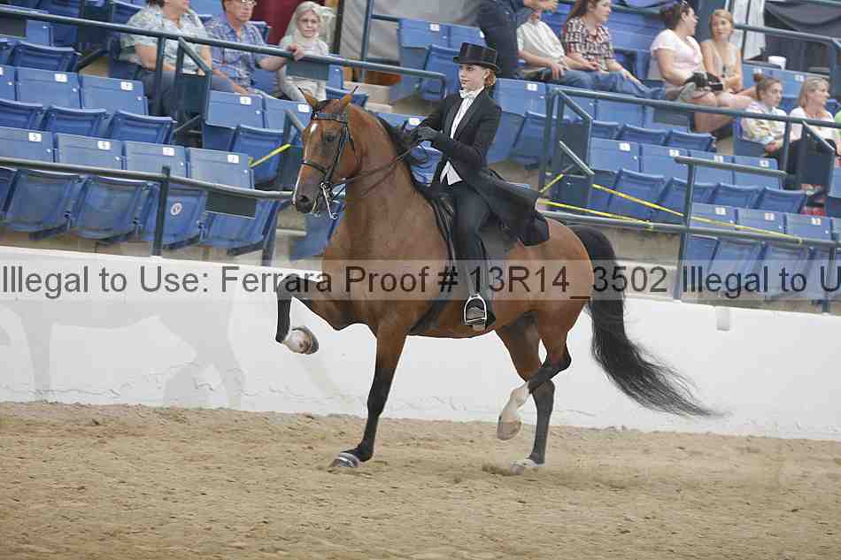 Proof 13r14_3502