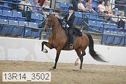 13r14_3502 proof