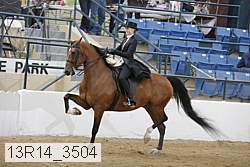 13r14_3504 proof