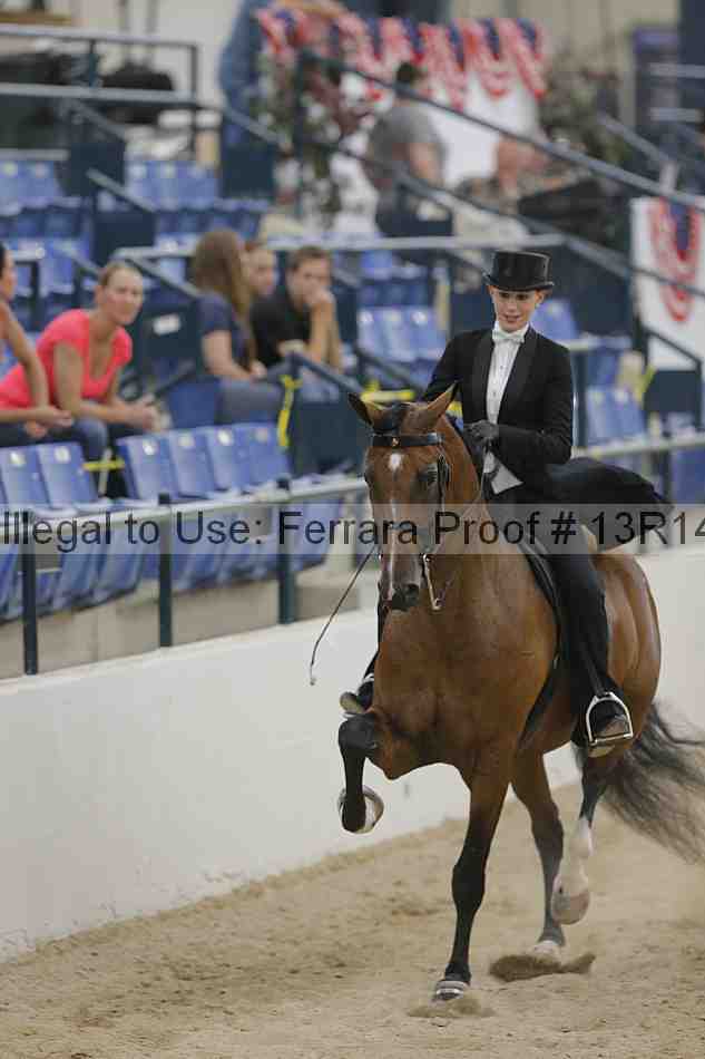 Proof 13r14_3510
