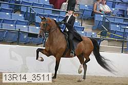 13r14_3511 proof