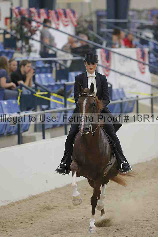 Proof 13r14_3512