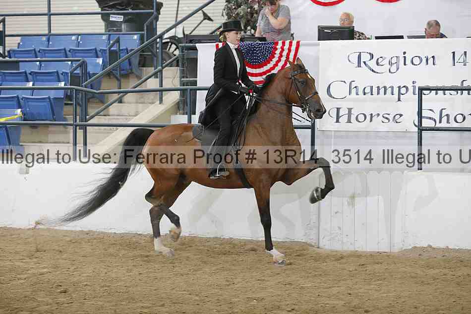 Proof 13r14_3514