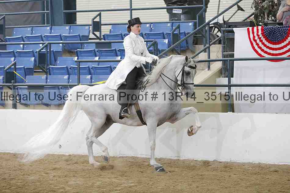 Proof 13r14_3515