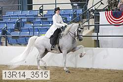 13r14_3515 proof