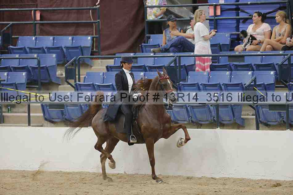 Proof 13r14_3516