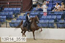 13r14_3516 proof