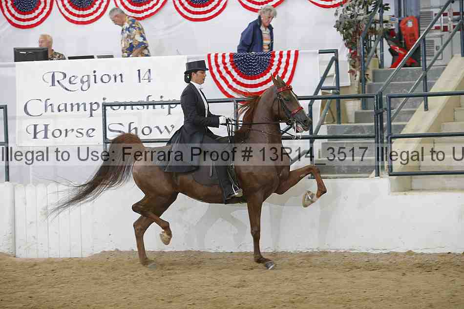 Proof 13r14_3517