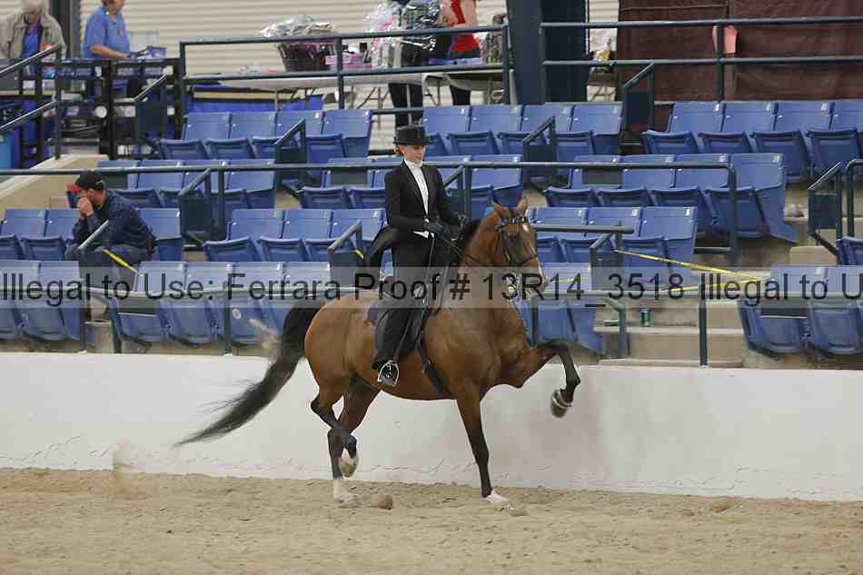 Proof 13r14_3518