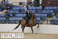 13r14_3518 proof