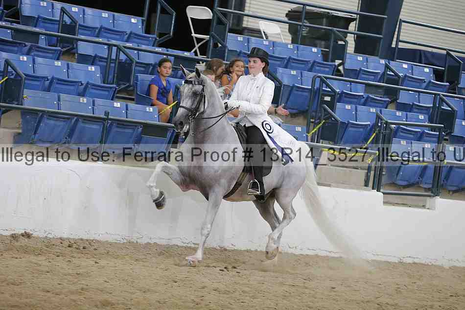 Proof 13r14_3527