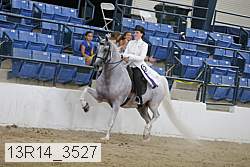 13r14_3527 proof