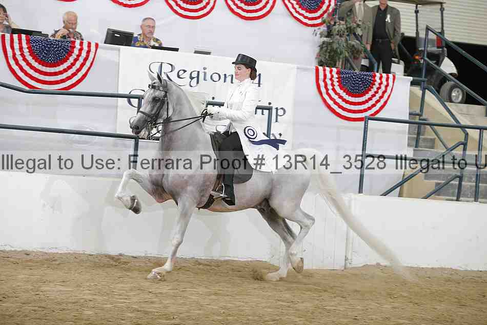 Proof 13r14_3528