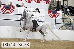 13r14_3528 proof