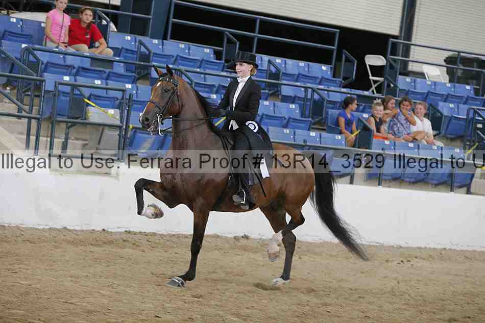 Proof 13r14_3529